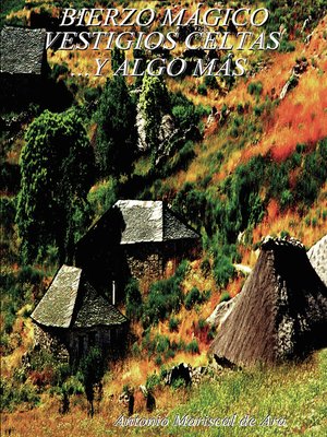 vestigios celtas... y algo más - ebook